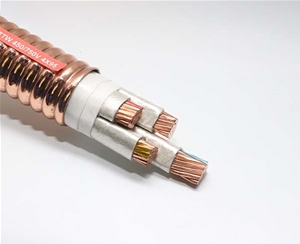 防火电缆、矿物质电缆 (3)